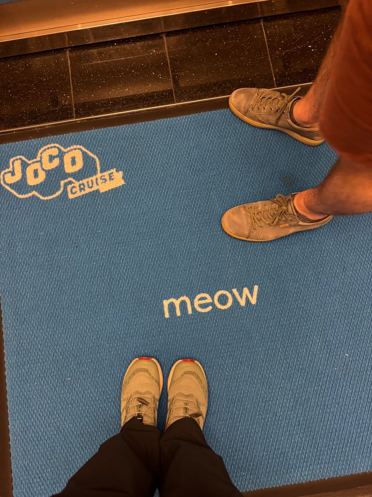Elevator Rug 2